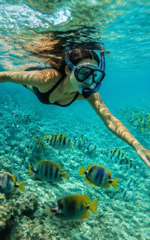Snorkeling en aguas tropicales